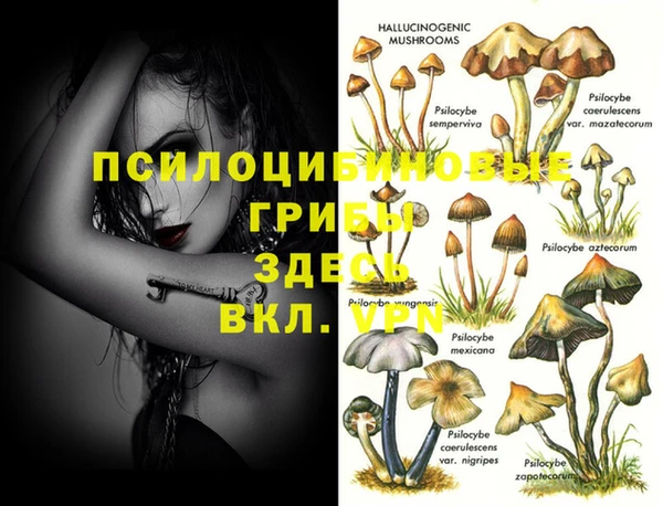 дурь Белокуриха