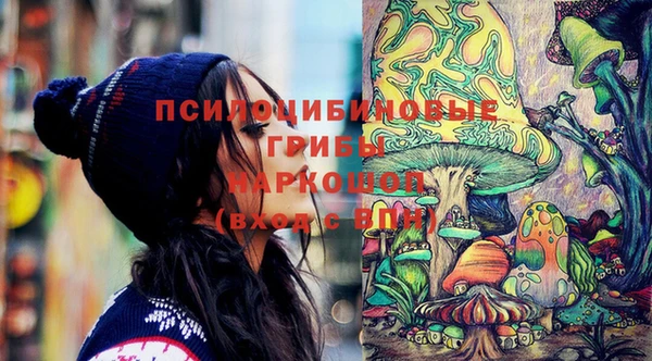 дурь Белокуриха